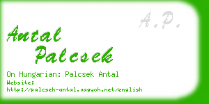 antal palcsek business card